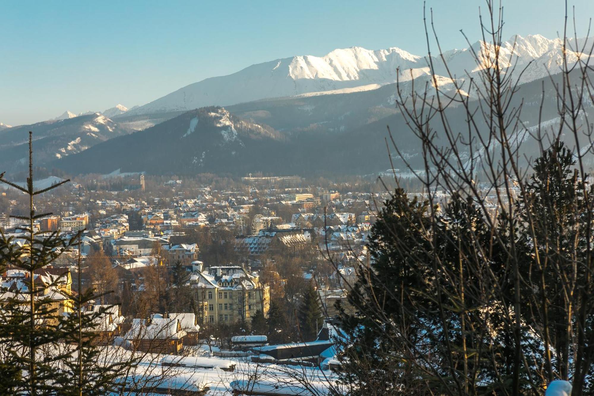 Malownicza Polana Centrum * Zakopane