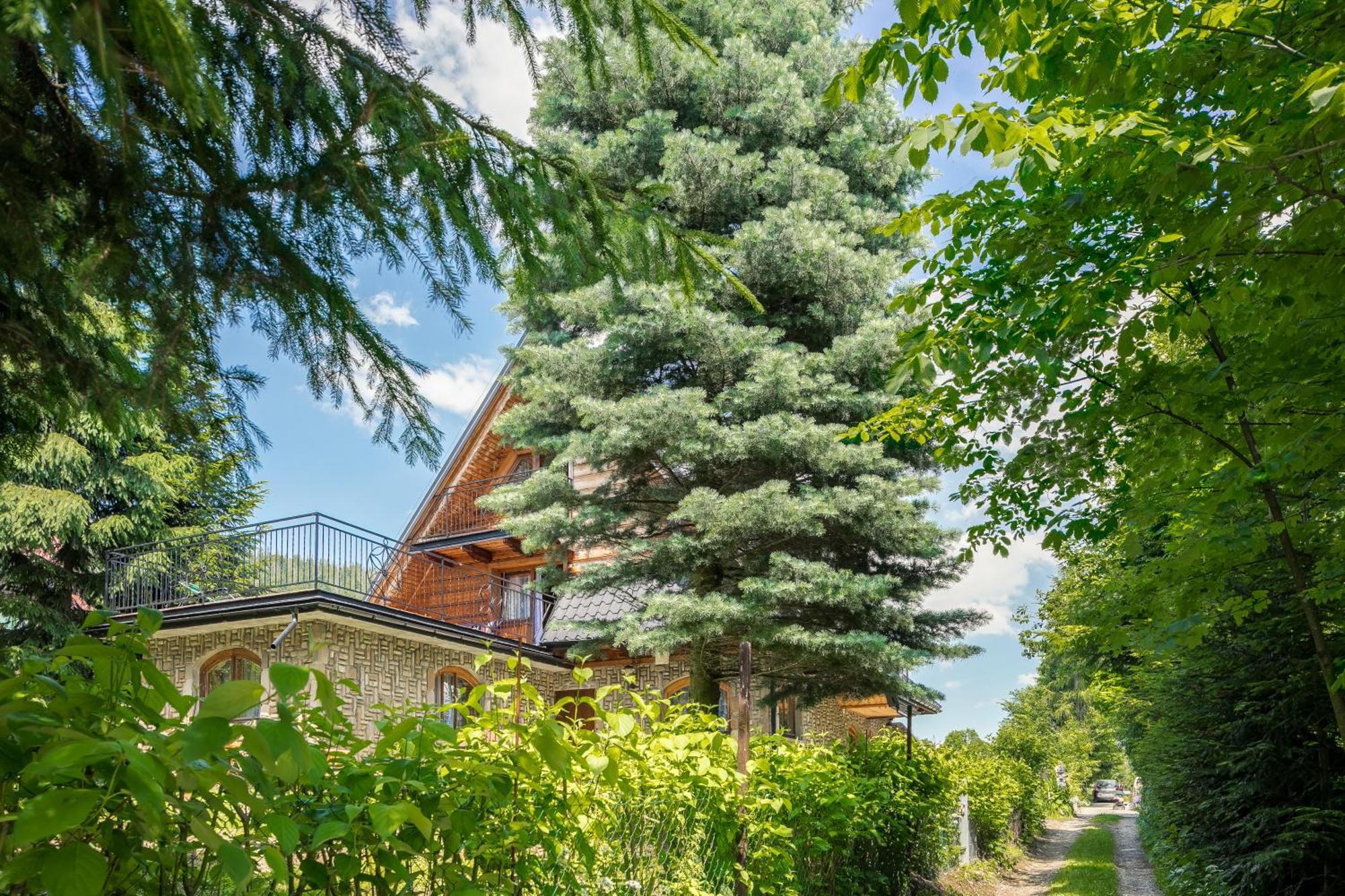 Chalet Malownicza Polana Centrum
