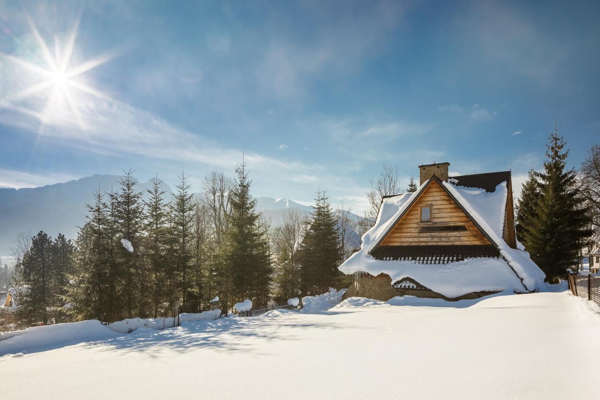 Rent Like - Malownicza Polana * Zakopane