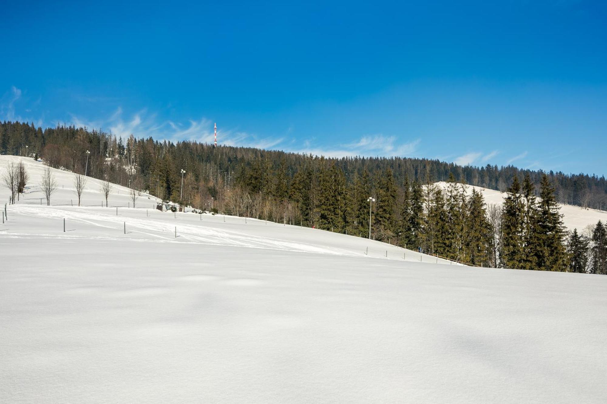 Malownicza Polana Centrum Chalet