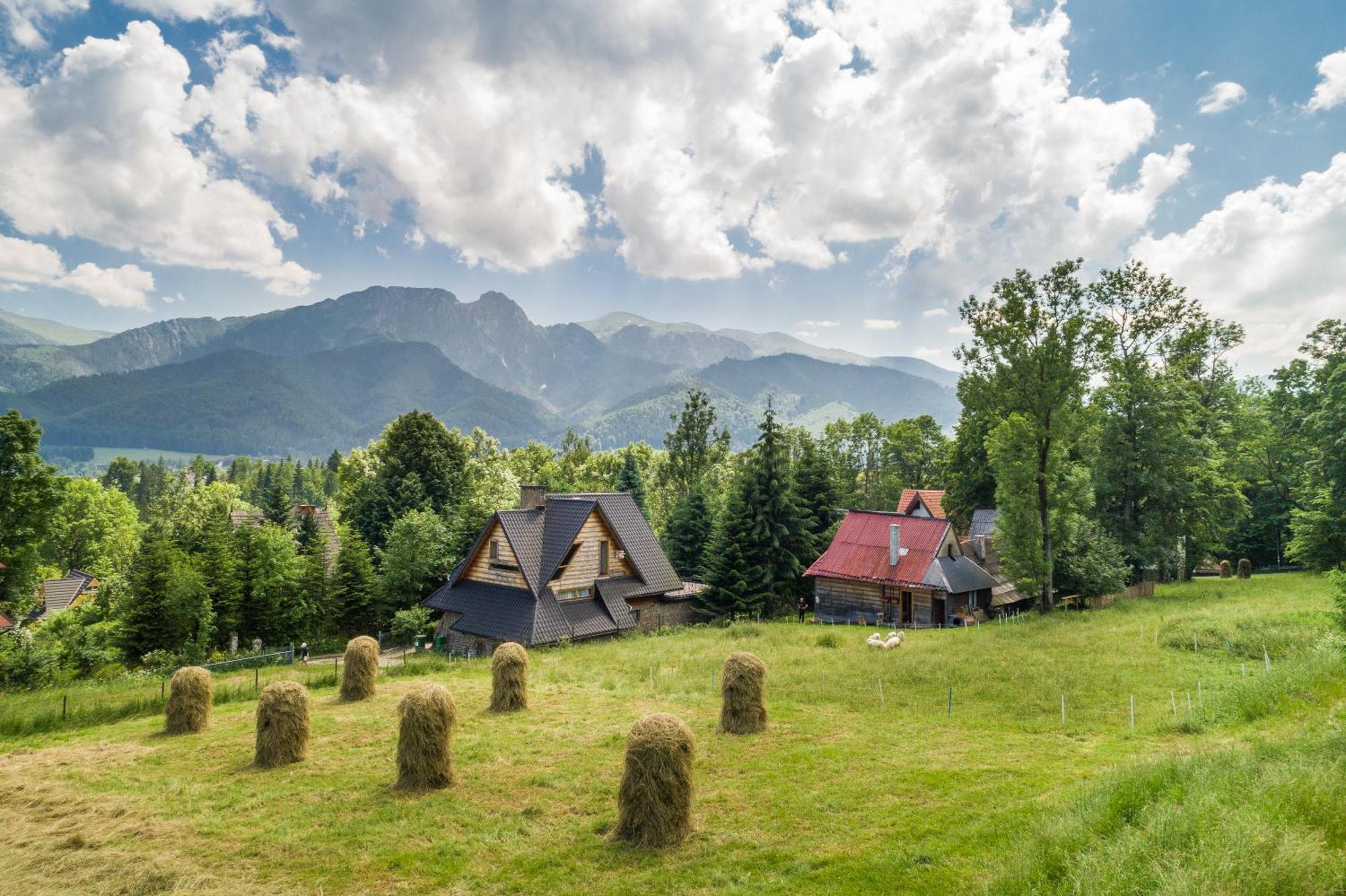 Malownicza Polana Centrum Chalet Zakopane