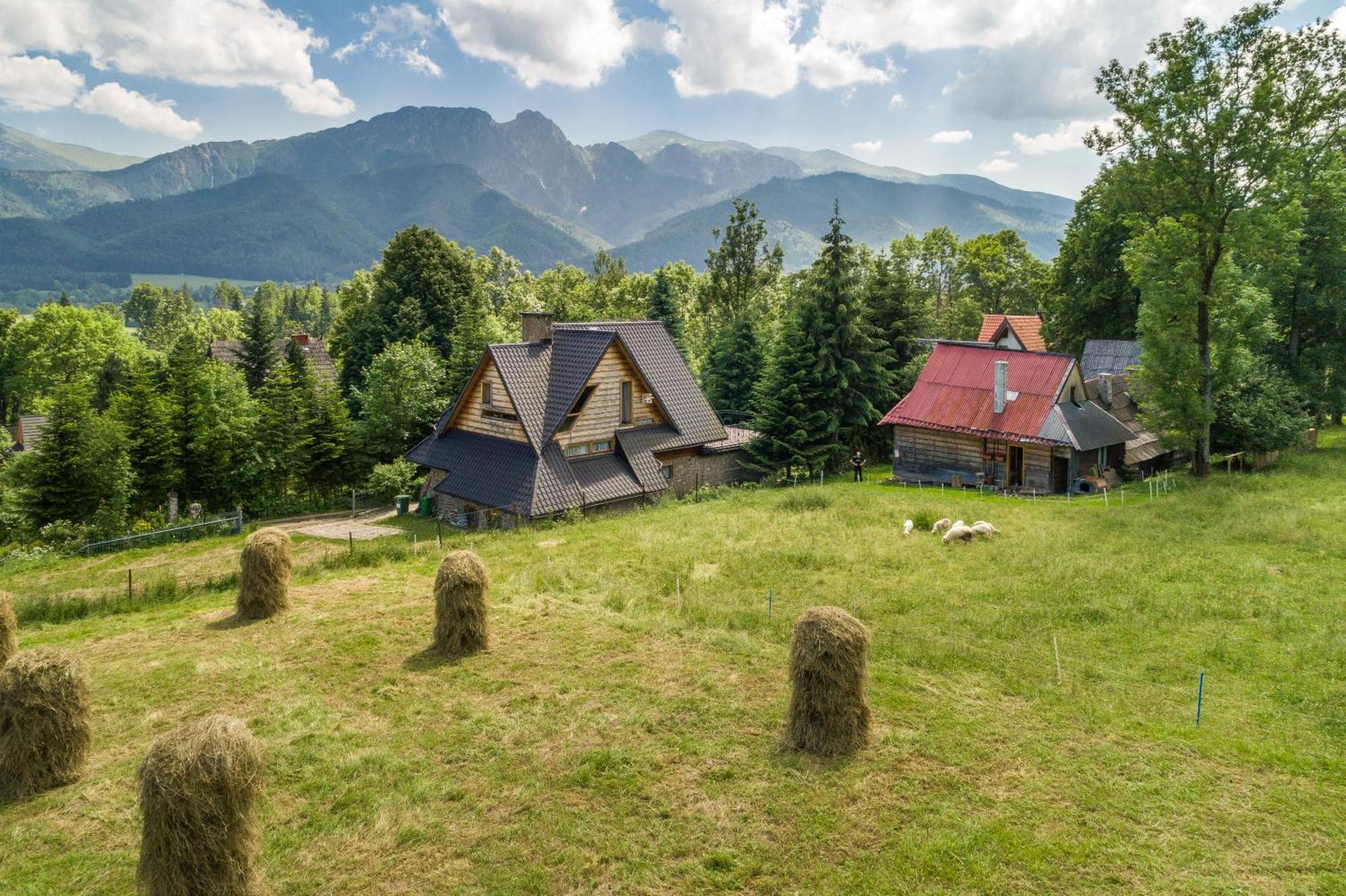 Chalet Malownicza Polana Centrum Zakopane